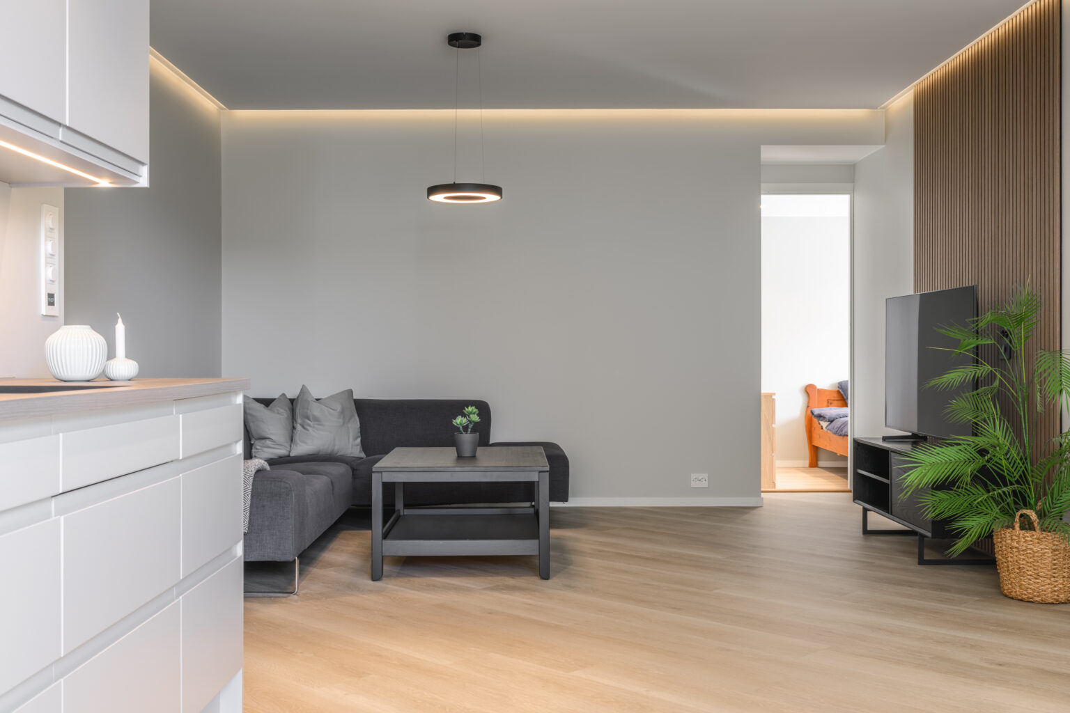 Kjellerleilighet (9)