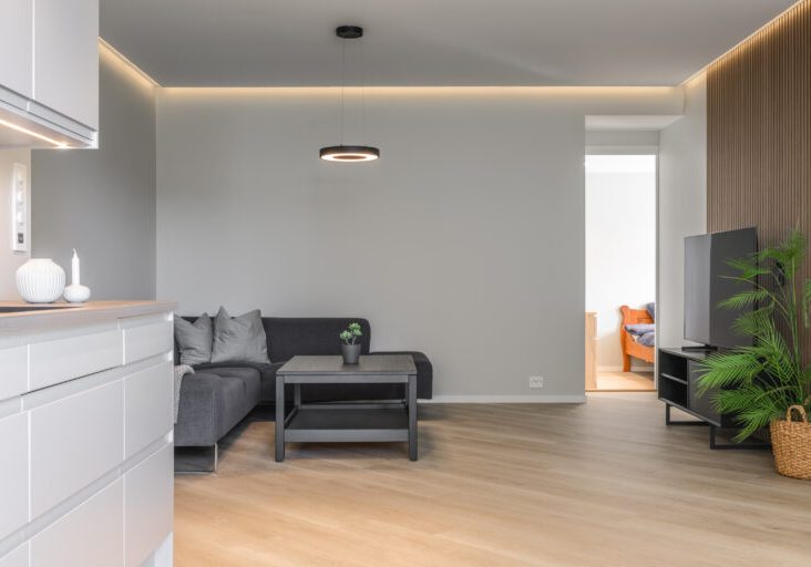 Kjellerleilighet (9)